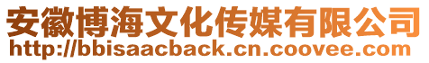 安徽博海文化傳媒有限公司