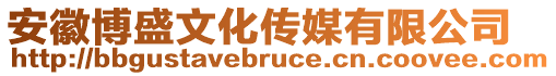 安徽博盛文化傳媒有限公司