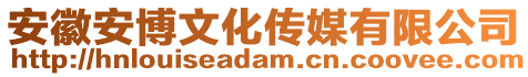 安徽安博文化傳媒有限公司