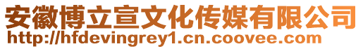 安徽博立宣文化傳媒有限公司