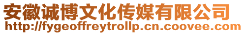 安徽誠博文化傳媒有限公司