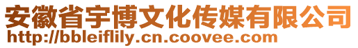 安徽省宇博文化傳媒有限公司