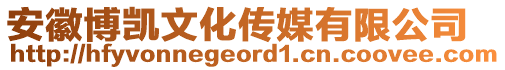 安徽博凱文化傳媒有限公司