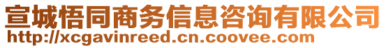 宣城悟同商務(wù)信息咨詢有限公司