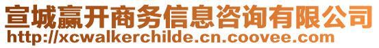 宣城贏開商務信息咨詢有限公司