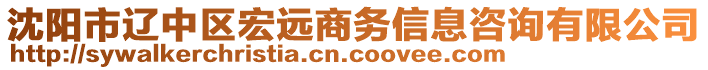 沈陽市遼中區(qū)宏遠商務信息咨詢有限公司