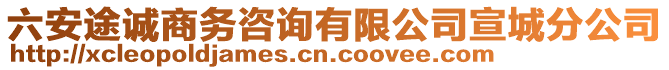 六安途誠(chéng)商務(wù)咨詢(xún)有限公司宣城分公司