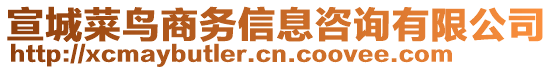 宣城菜鳥商務(wù)信息咨詢有限公司