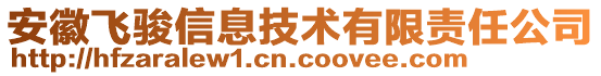 安徽飛駿信息技術(shù)有限責(zé)任公司