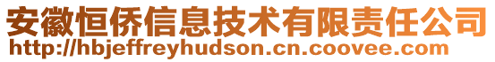 安徽恒僑信息技術(shù)有限責(zé)任公司