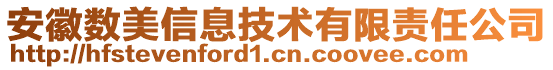 安徽數(shù)美信息技術(shù)有限責任公司