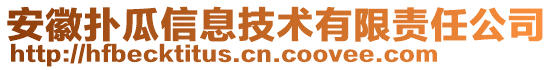 安徽撲瓜信息技術(shù)有限責(zé)任公司