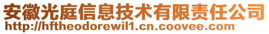 安徽光庭信息技術(shù)有限責(zé)任公司