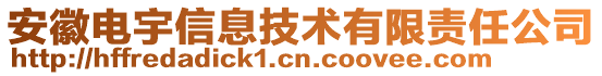 安徽電宇信息技術(shù)有限責任公司