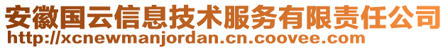 安徽國云信息技術服務有限責任公司