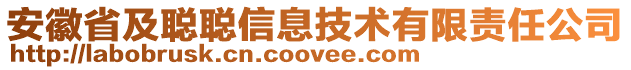 安徽省及聰聰信息技術(shù)有限責(zé)任公司