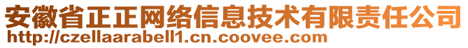 安徽省正正網(wǎng)絡(luò)信息技術(shù)有限責(zé)任公司