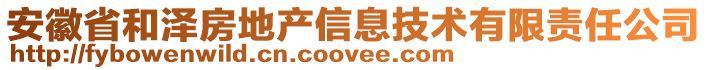 安徽省和澤房地產(chǎn)信息技術(shù)有限責(zé)任公司