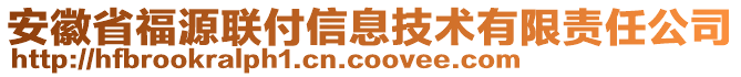 安徽省福源聯(lián)付信息技術(shù)有限責(zé)任公司