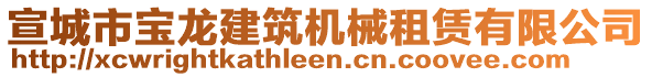 宣城市寶龍建筑機械租賃有限公司