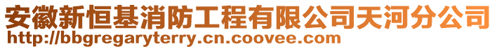 安徽新恒基消防工程有限公司天河分公司