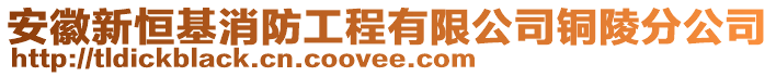 安徽新恒基消防工程有限公司銅陵分公司