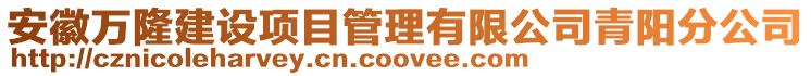 安徽萬隆建設項目管理有限公司青陽分公司