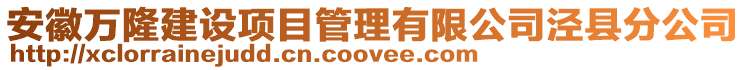 安徽萬隆建設(shè)項目管理有限公司涇縣分公司