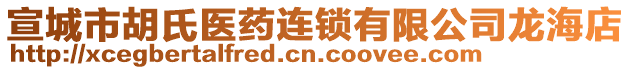 宣城市胡氏醫(yī)藥連鎖有限公司龍海店