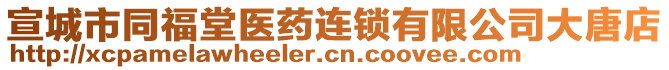 宣城市同福堂醫(yī)藥連鎖有限公司大唐店