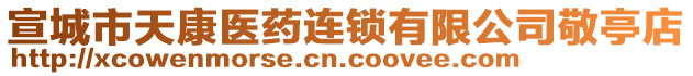 宣城市天康醫(yī)藥連鎖有限公司敬亭店