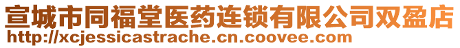 宣城市同福堂醫(yī)藥連鎖有限公司雙盈店