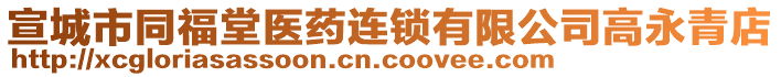 宣城市同福堂醫(yī)藥連鎖有限公司高永青店