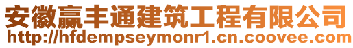 安徽贏豐通建筑工程有限公司