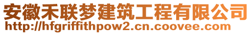 安徽禾聯(lián)夢建筑工程有限公司