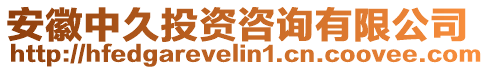 安徽中久投資咨詢有限公司