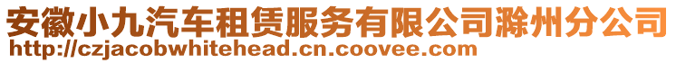 安徽小九汽車租賃服務有限公司滁州分公司