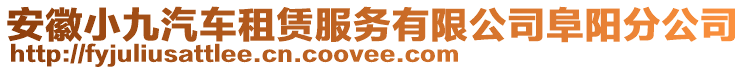 安徽小九汽車租賃服務(wù)有限公司阜陽分公司