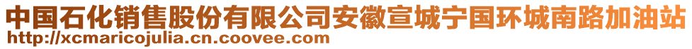 中國(guó)石化銷售股份有限公司安徽宣城寧國(guó)環(huán)城南路加油站