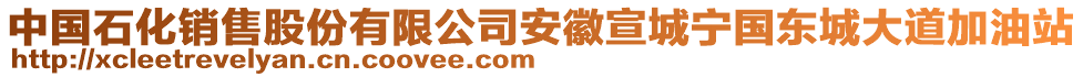 中國(guó)石化銷(xiāo)售股份有限公司安徽宣城寧國(guó)東城大道加油站