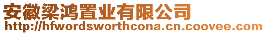 安徽梁鴻置業有限公司