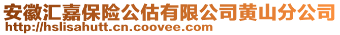 安徽匯嘉保險公估有限公司黃山分公司