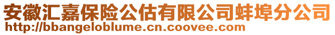 安徽匯嘉保險(xiǎn)公估有限公司蚌埠分公司