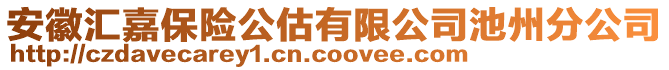 安徽匯嘉保險(xiǎn)公估有限公司池州分公司