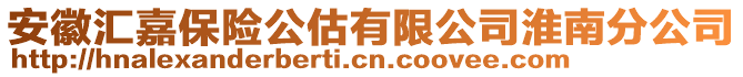 安徽匯嘉保險公估有限公司淮南分公司