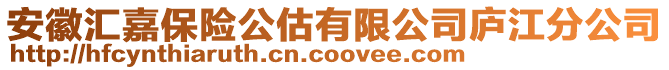 安徽匯嘉保險公估有限公司廬江分公司