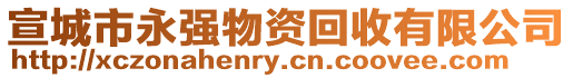 宣城市永強物資回收有限公司