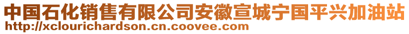 中國石化銷售有限公司安徽宣城寧國平興加油站