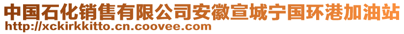 中國石化銷售有限公司安徽宣城寧國環(huán)港加油站