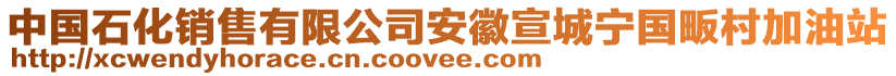 中國石化銷售有限公司安徽宣城寧國畈村加油站